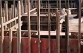林頓全自動(dòng)洗車(chē)機(jī)與客戶上下密切協(xié)作！兩套全自動(dòng)洗車(chē)機(jī)設(shè)備水池（隧道機(jī)基礎(chǔ)）現(xiàn)已施工完畢